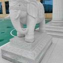 滨州 白麻花岗岩动物异形石雕-大象