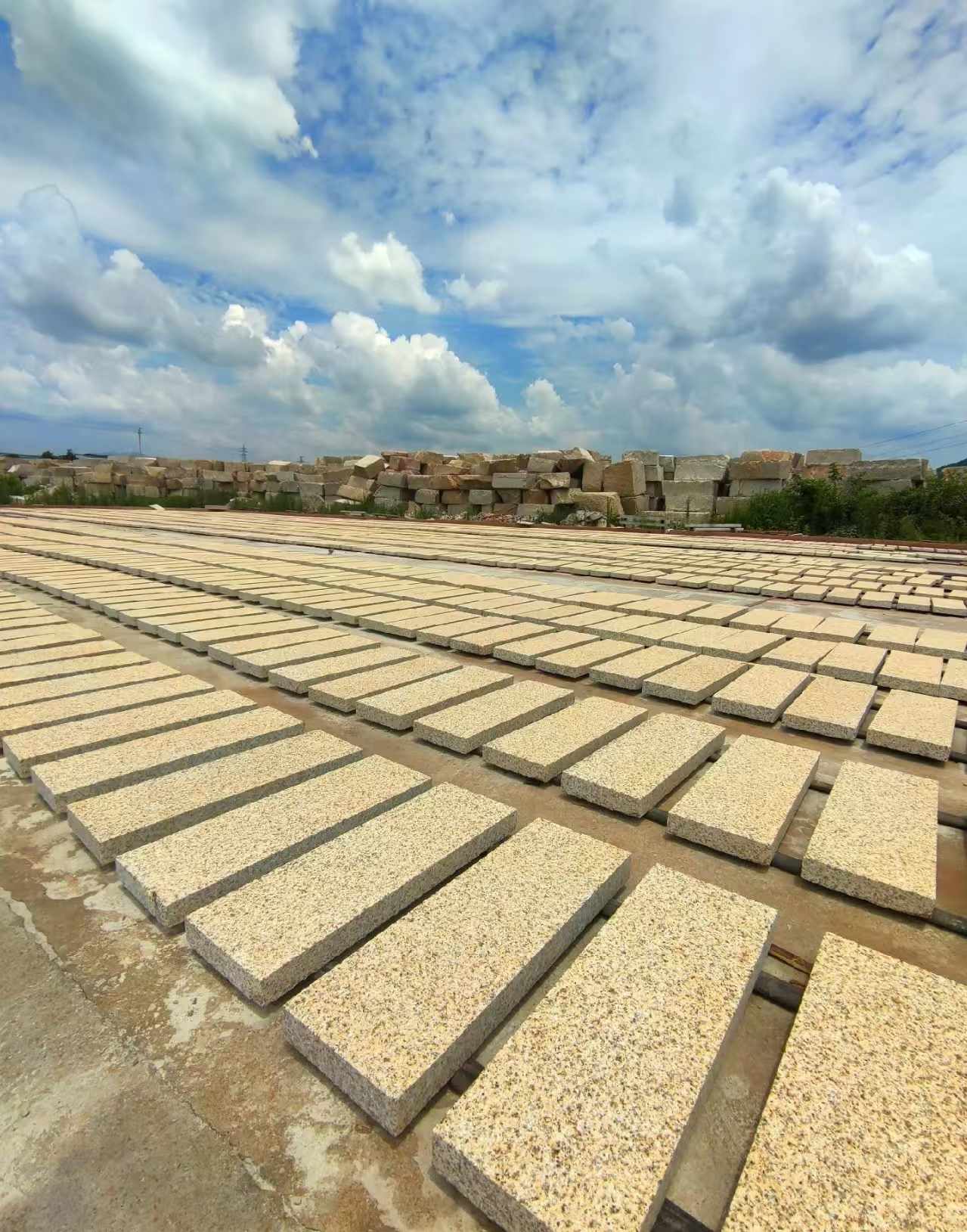 滨州 黄金麻荔枝面花岗岩石材地铺石防护中