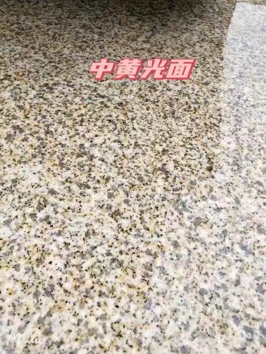 滨州黄金麻中黄光面