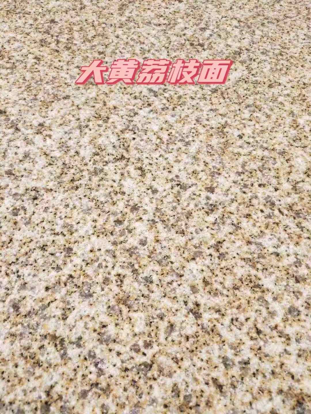 滨州黄金麻大黄荔枝面